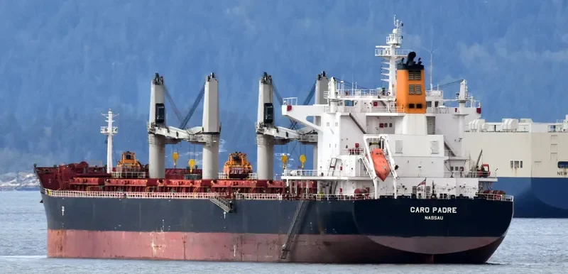 CARO PADRE Bulk Carrier IMO 9575199 photo 3