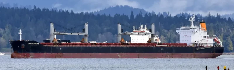 CARO PADRE Bulk Carrier IMO 9575199 photo 4