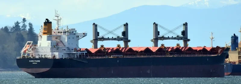 CARO PADRE Bulk Carrier IMO 9575199 photo 5