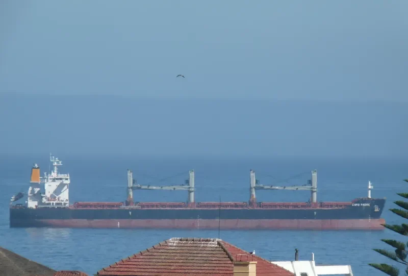 CARO PADRE Bulk Carrier IMO 9575199 photo 6