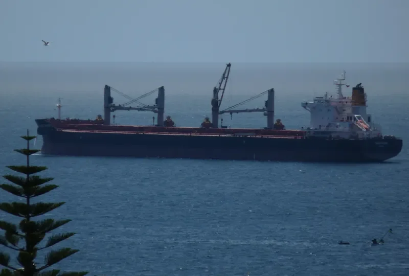 CARO PADRE Bulk Carrier IMO 9575199 photo 7