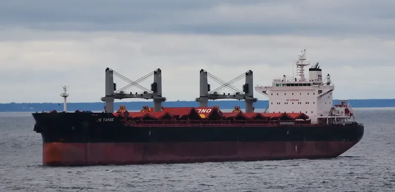 MYSTIC EAGLE Bulk Carrier IMO 9575204