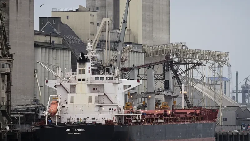 MYSTIC EAGLE Bulk Carrier IMO 9575204 photo 2
