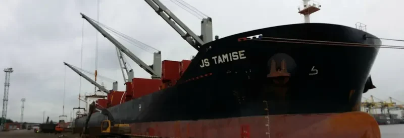 MYSTIC EAGLE Bulk Carrier IMO 9575204 photo 3