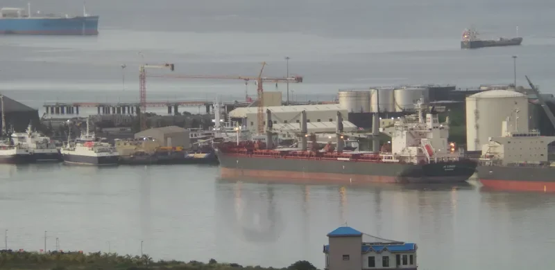 MYSTIC EAGLE Bulk Carrier IMO 9575204 photo 8