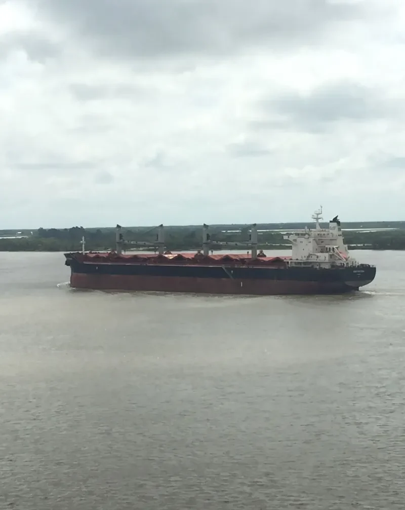 ROWAYTON EAGLE Bulk Carrier IMO 9575216 photo 4