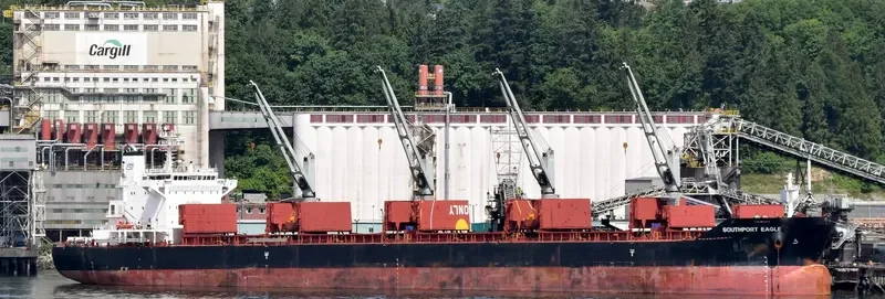 SOUTHPORT EAGLE Bulk Carrier IMO 9575228 photo 2
