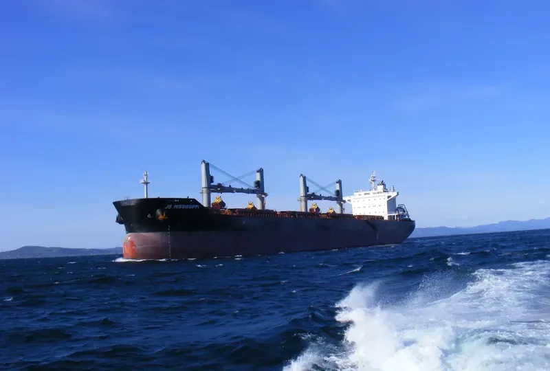 SOUTHPORT EAGLE Bulk Carrier IMO 9575228 photo 5