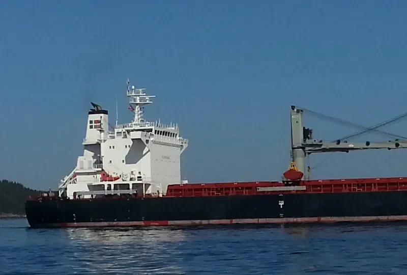 SOUTHPORT EAGLE Bulk Carrier IMO 9575228 photo 8