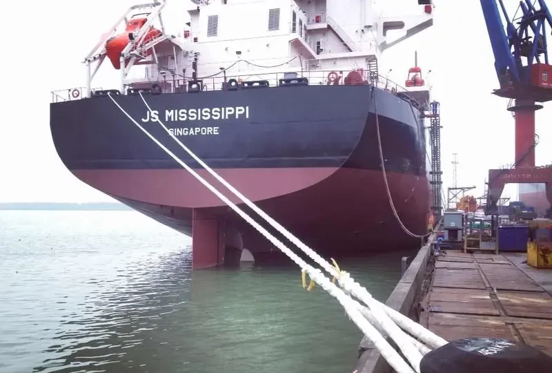 SOUTHPORT EAGLE Bulk Carrier IMO 9575228 photo 10