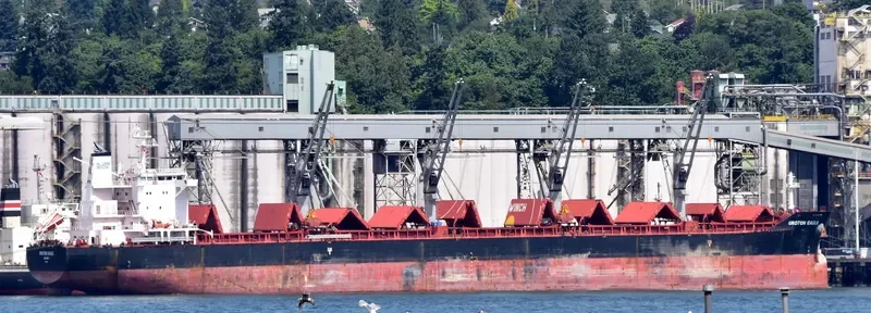 GROTON EAGLE Bulk Carrier IMO 9575242 photo 5