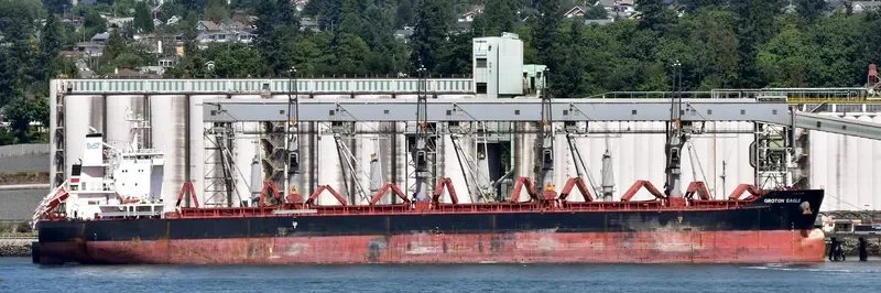 GROTON EAGLE Bulk Carrier IMO 9575242 photo 6