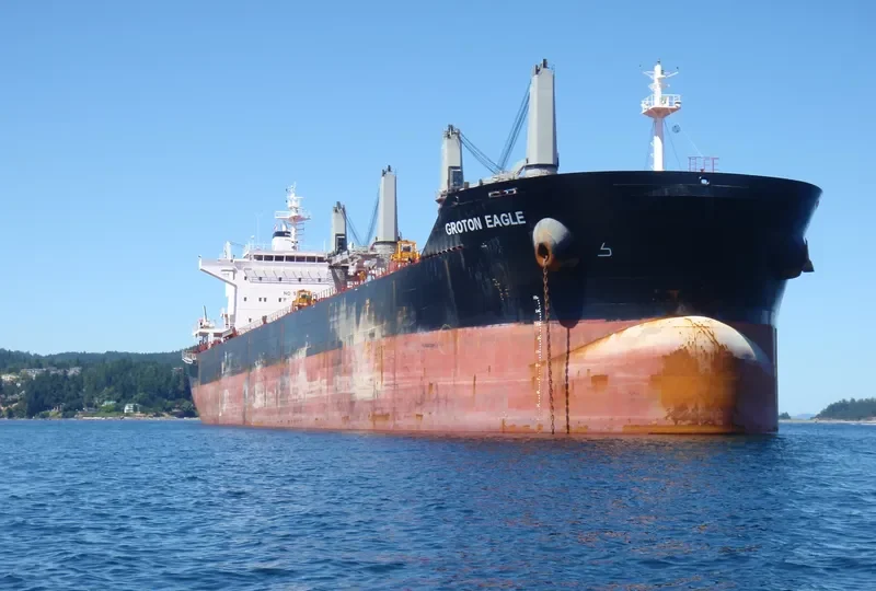 GROTON EAGLE Bulk Carrier IMO 9575242 photo 7