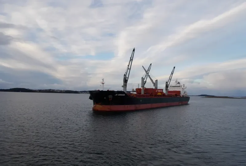 AMARYLLIS Bulk Carrier IMO 9575254 photo 2