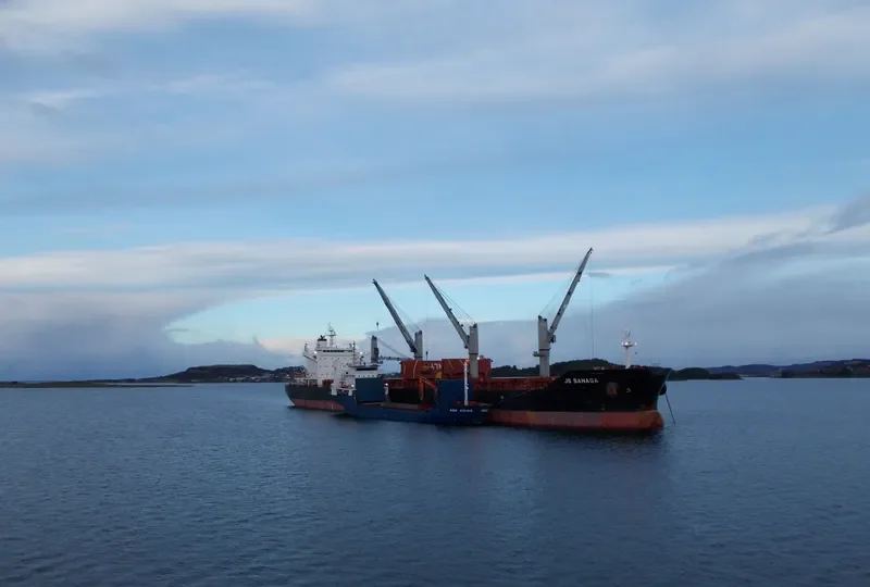 AMARYLLIS Bulk Carrier IMO 9575254 photo 3