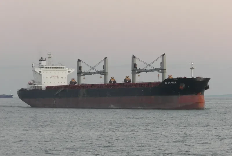 AMARYLLIS Bulk Carrier IMO 9575254 photo 5