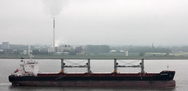 AMARYLLIS Bulk Carrier IMO 9575254 photo 7