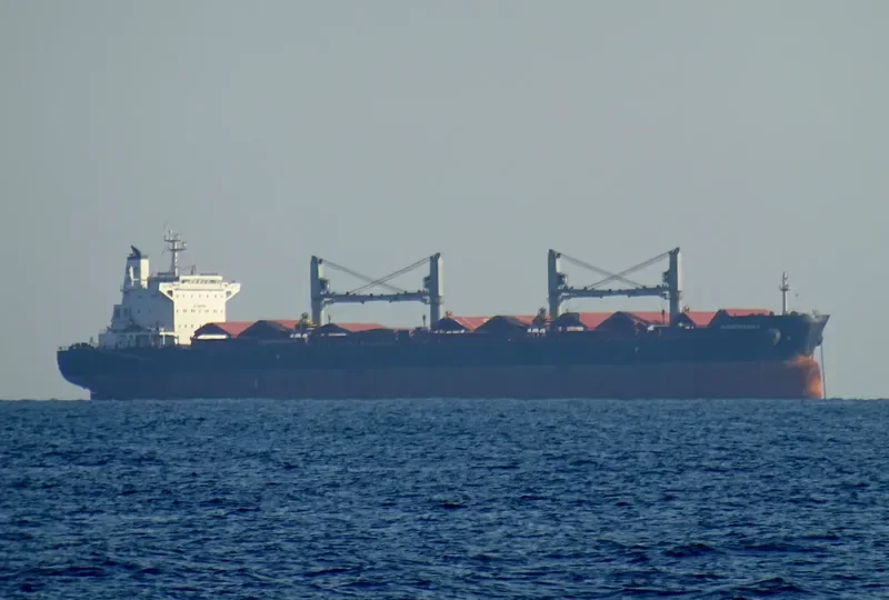 MADISON EAGLE Bulk Carrier IMO 9575278 photo 2