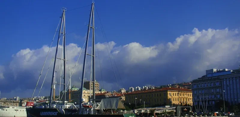 RAINBOW WARRIOR General Cargo IMO 9575383 photo 6
