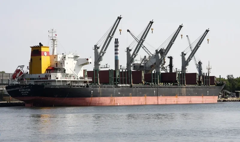ALEXANDROS III Bulk Carrier IMO 9575436