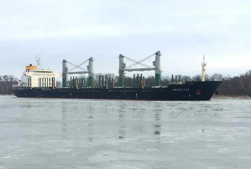 ALEXANDROS III Bulk Carrier IMO 9575436 photo 2