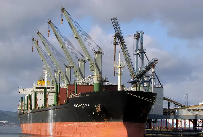 ALEXANDROS III Bulk Carrier IMO 9575436 photo 4