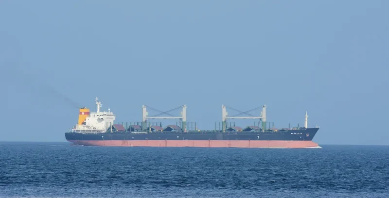 ALEXANDROS III Bulk Carrier IMO 9575436 photo 6