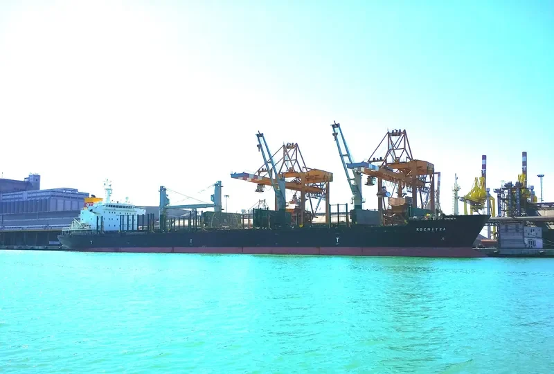 ALEXANDROS III Bulk Carrier IMO 9575436 photo 7