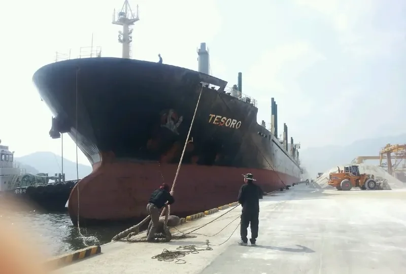 ALEXANDROS III Bulk Carrier IMO 9575436 photo 10