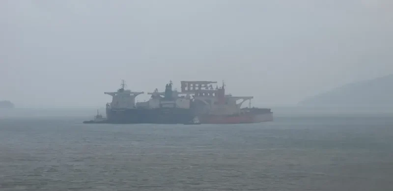 SEA QINGDAO Bulk Carrier IMO 9575450 photo 2