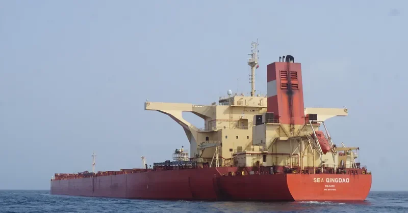 SEA QINGDAO Bulk Carrier IMO 9575450 photo 3