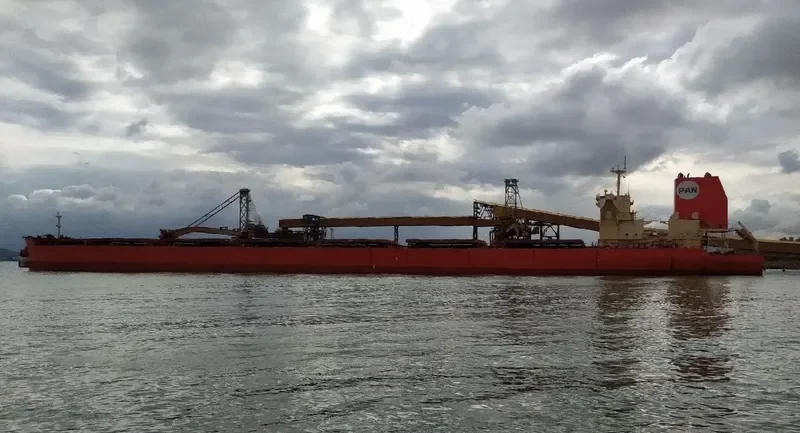 SEA ESPIRITO SANTO Bulk Carrier IMO 9575462 photo 9
