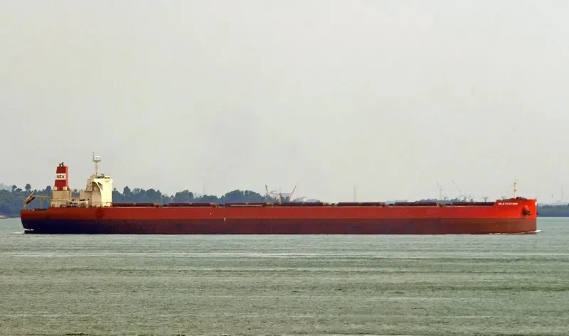 SEA FUJIYAMA Bulk Carrier IMO 9575486 photo 2