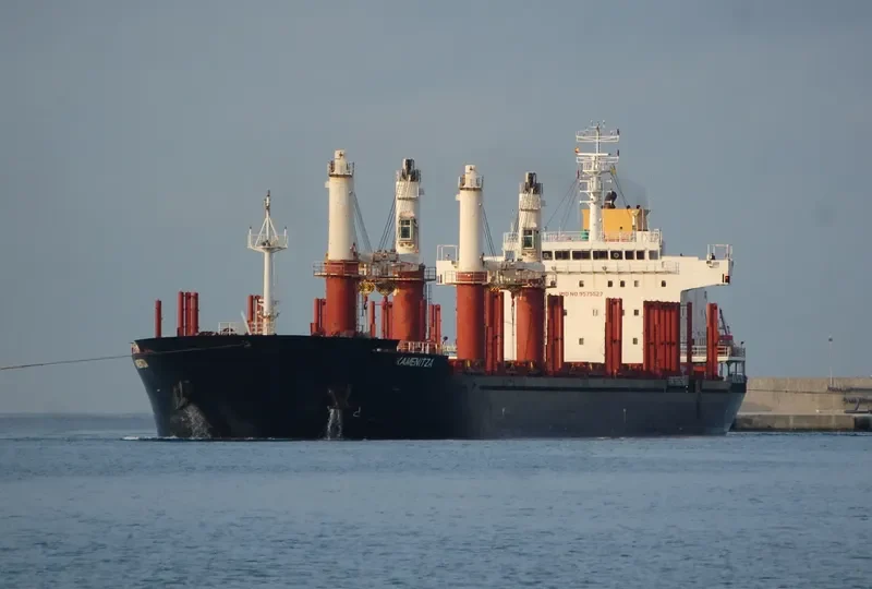 LAUSANNE Bulk Carrier IMO 9575527 photo 2