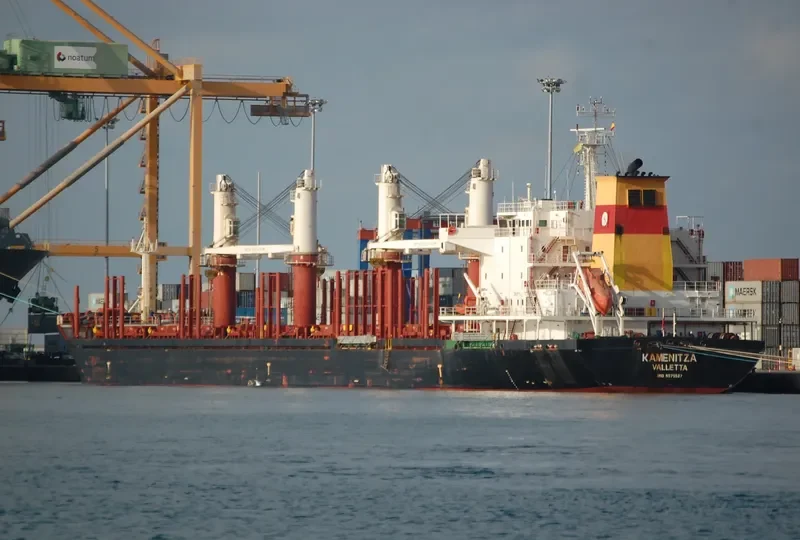 LAUSANNE Bulk Carrier IMO 9575527 photo 3
