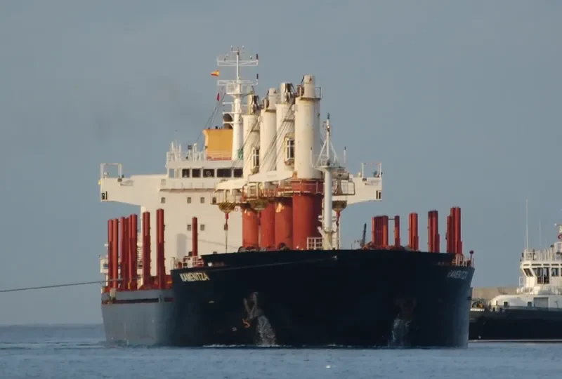 LAUSANNE Bulk Carrier IMO 9575527 photo 5