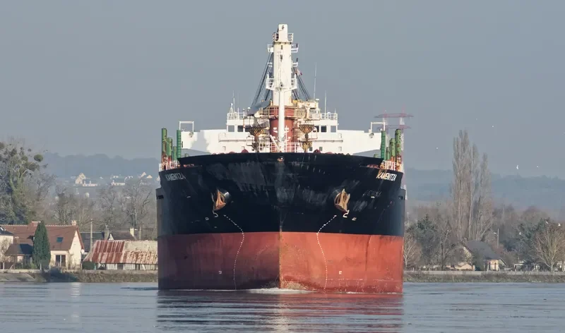 LAUSANNE Bulk Carrier IMO 9575527 photo 10