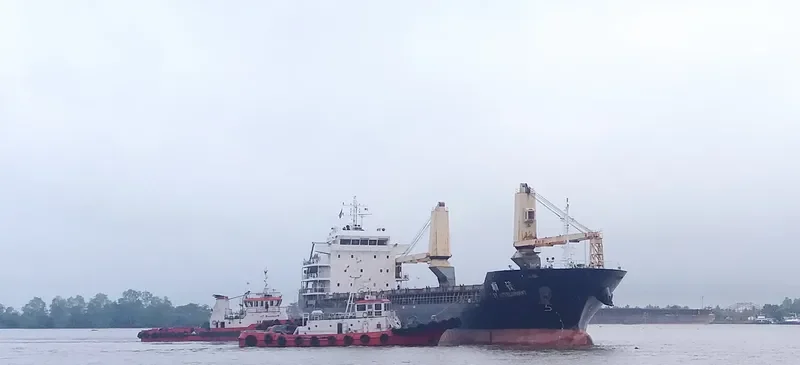 EASY DEVELOPMENT General Cargo IMO 9575888