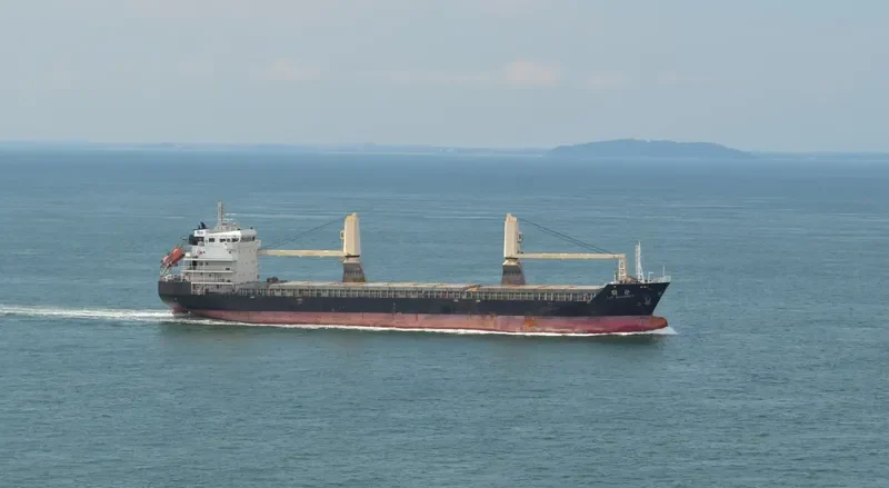EASY DEVELOPMENT General Cargo IMO 9575888 photo 6