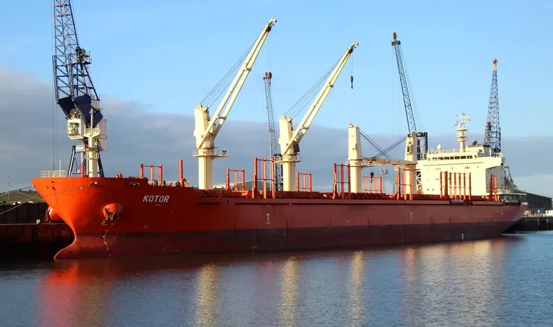 KOTOR Bulk Carrier IMO 9575981 photo 3