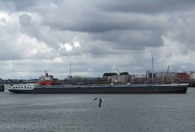 RIVA Tanker IMO 9576208 photo 8