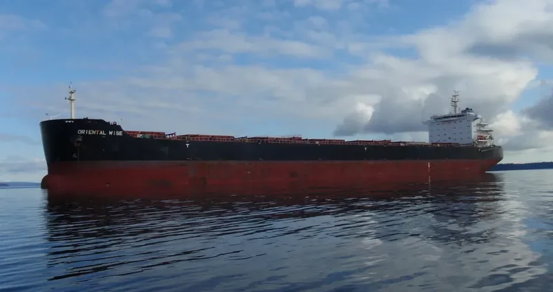 EGYPTIAN MIKE Bulk Carrier IMO 9576260 photo 3