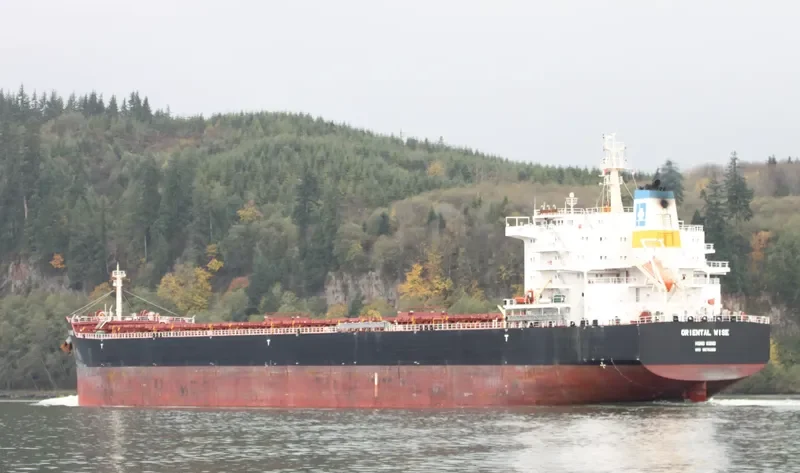EGYPTIAN MIKE Bulk Carrier IMO 9576260 photo 5