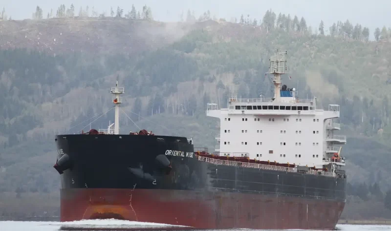 EGYPTIAN MIKE Bulk Carrier IMO 9576260 photo 6