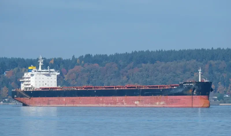EGYPTIAN MIKE Bulk Carrier IMO 9576260 photo 9