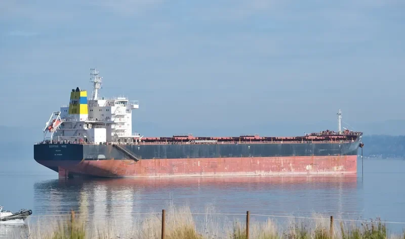EGYPTIAN MIKE Bulk Carrier IMO 9576260 photo 10