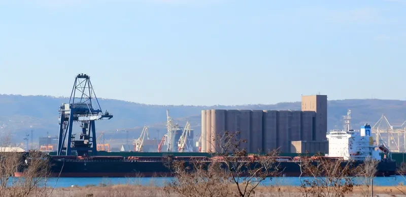 SUPER GRACE Bulk Carrier IMO 9576272 photo 7
