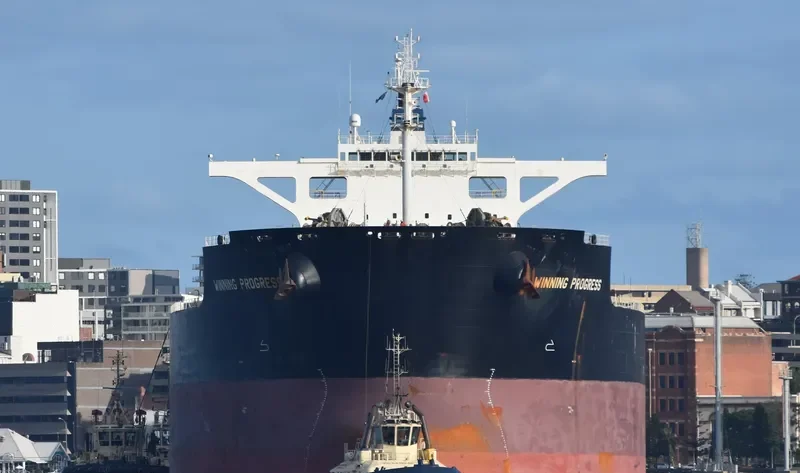 WINNING PROGRESS Bulk Carrier IMO 9576296 photo 10