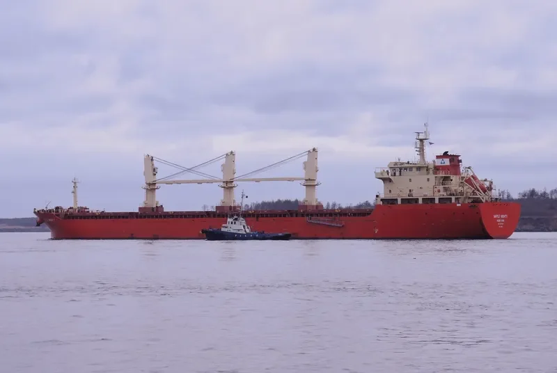 GAO XIN ZHI ZHOU Bulk Carrier IMO 9576313