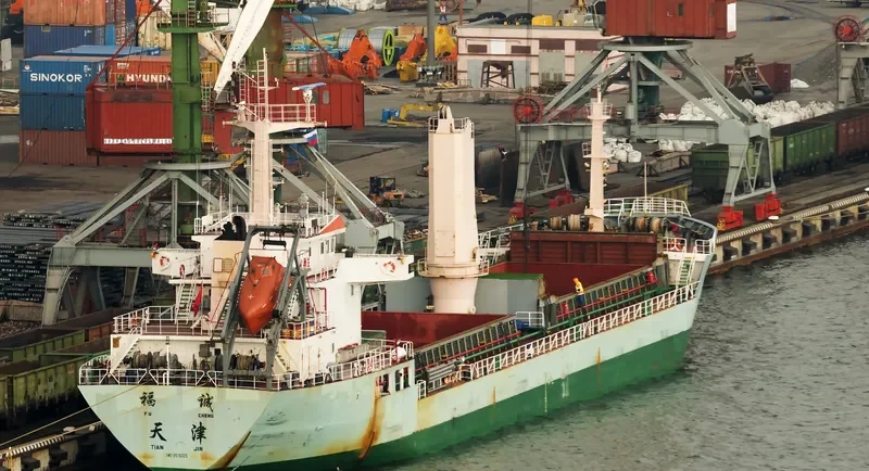 FU CHENG Bulk Carrier IMO 9576325 photo 2